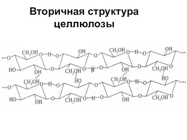 Вторичная структура целлюлозы β