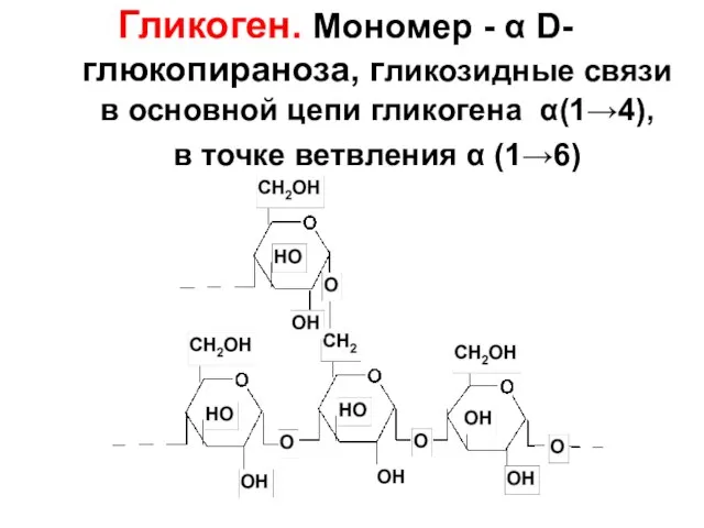 Гликоген. Мономер - α D-глюкопираноза, гликозидные связи в основной цепи гликогена α(1→4),