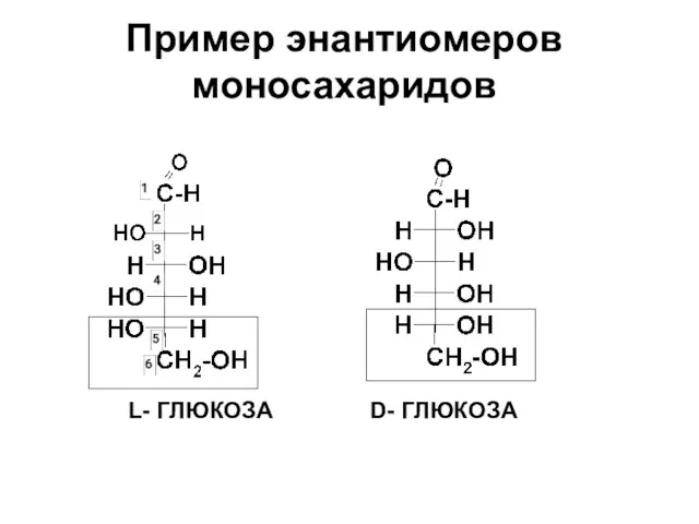 Пример энантиомеров моносахаридов L- ГЛЮКОЗА D- ГЛЮКОЗА