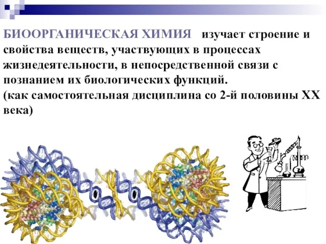 БИООРГАНИЧЕСКАЯ ХИМИЯ изучает строение и свойства веществ, участвующих в процессах жизнедеятельности, в