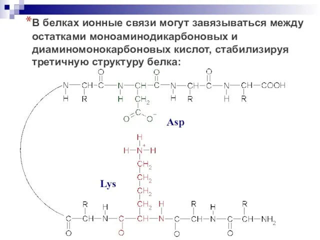 В белках ионные связи могут завязываться между остатками моноаминодикарбоновых и диаминомонокарбоновых кислот,