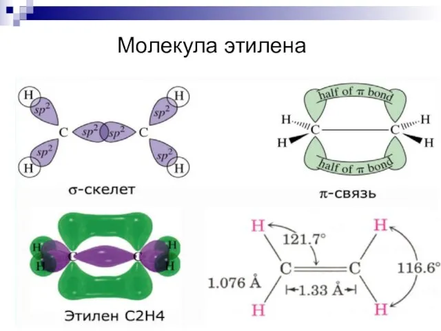 Молекула этилена