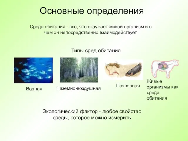 Основные определения Среда обитания - все, что окружает живой организм и с