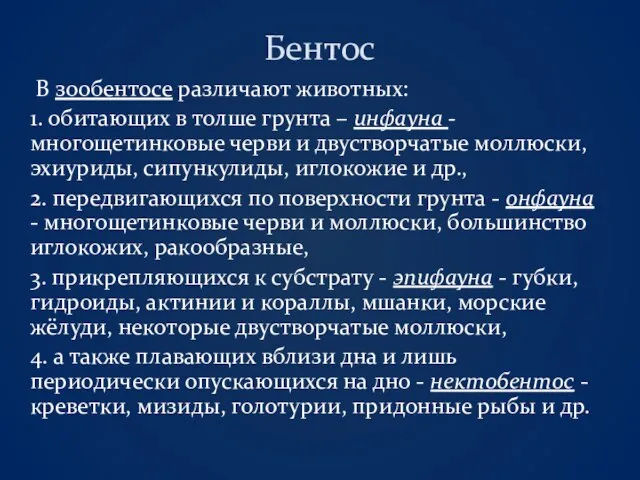 Бентос В зообентосе различают животных: 1. обитающих в толше грунта – инфауна