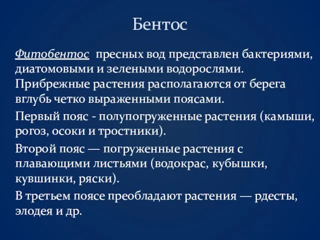 Бентос Фитобентос пресных вод представлен бактериями, диатомовыми и зелеными водорослями. Прибрежные растения