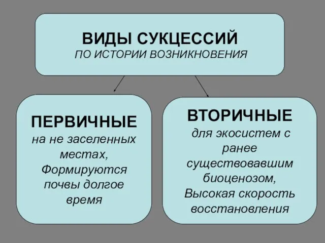 ВИДЫ СУКЦЕССИЙ ПО ИСТОРИИ ВОЗНИКНОВЕНИЯ ПЕРВИЧНЫЕ на не заселенных местах, Формируются почвы