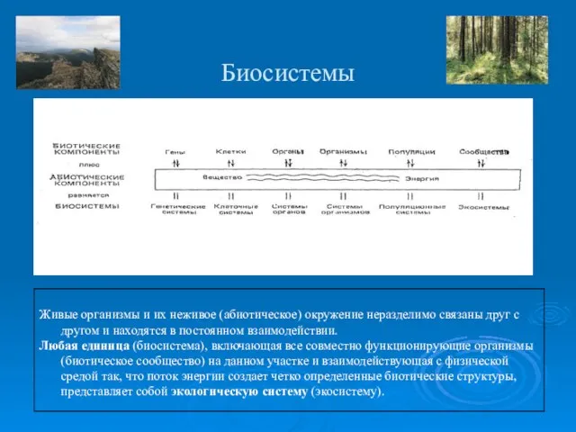 Биосистемы