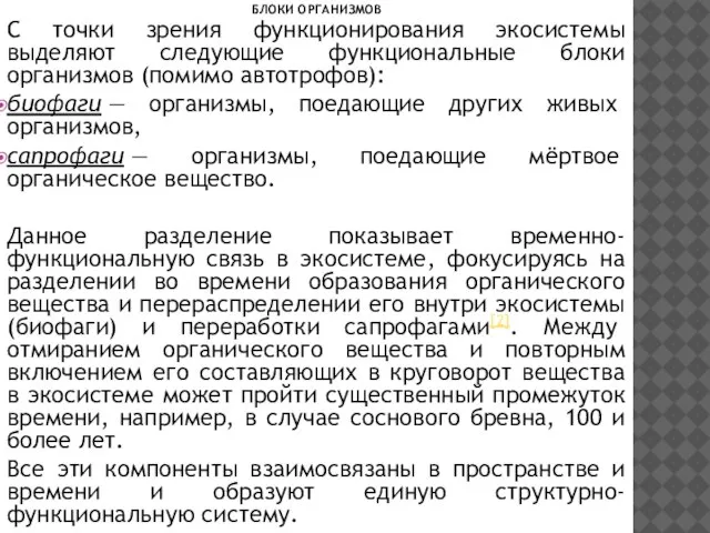 С точки зрения функционирования экосистемы выделяют следующие функциональные блоки организмов (помимо автотрофов):