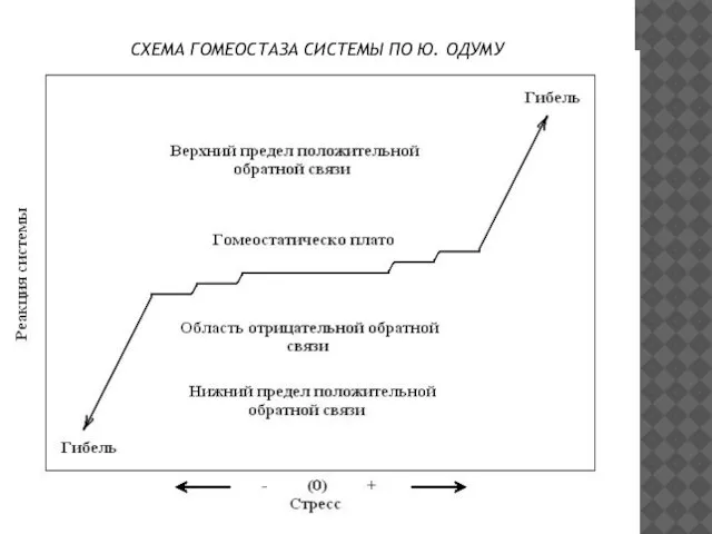 СХЕМА ГОМЕОСТАЗА СИСТЕМЫ ПО Ю. ОДУМУ