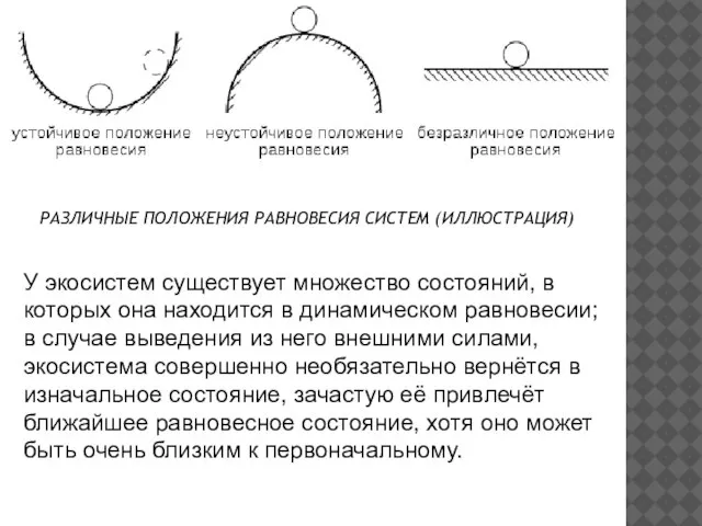 У экосистем существует множество состояний, в которых она находится в динамическом равновесии;