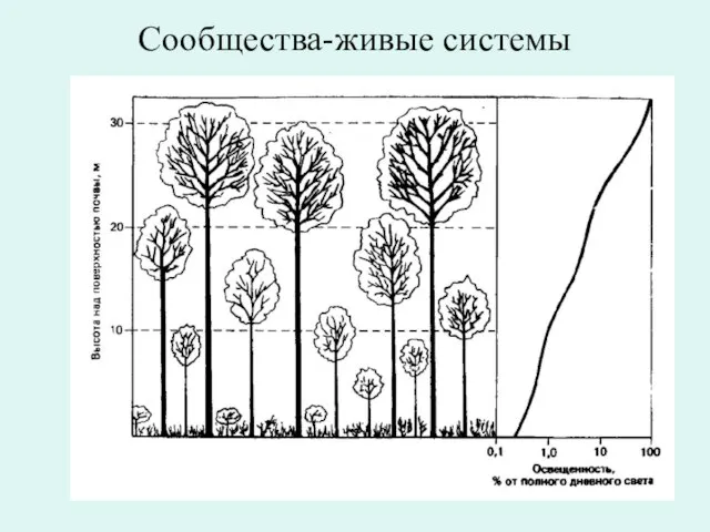 Сообщества-живые системы