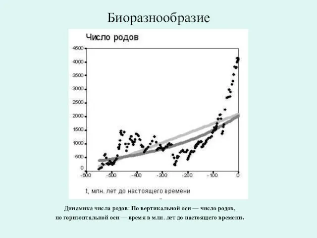 Биоразнообразие Динамика числа родов: По вертикальной оси — число родов, по горизонтальной