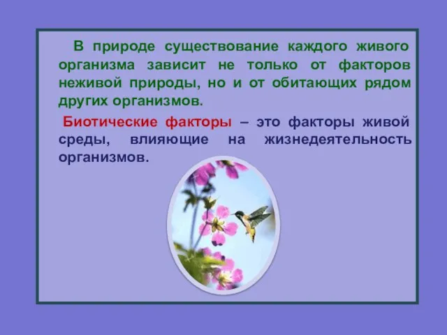 В природе существование каждого живого организма зависит не только от факторов неживой