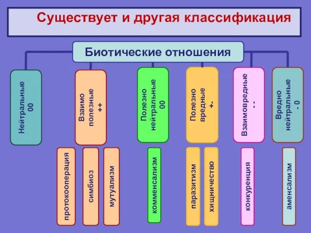 Существует и другая классификация Биотические отношения Нейтральные 00 Взаимо полезные ++ Полезно