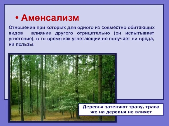 Аменсализм Отношения при которых для одного из совместно обитающих видов влияние другого