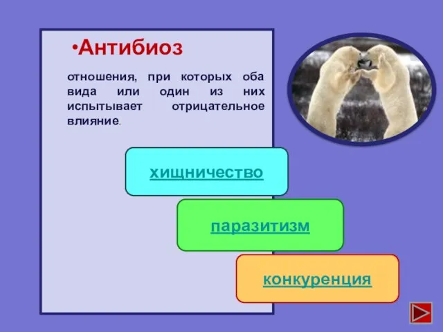 Антибиоз хищничество паразитизм конкуренция отношения, при которых оба вида или один из них испытывает отрицательное влияние.