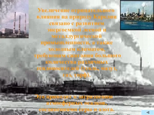 Увеличение отрицательного влияния на природу Карелии связано с развитием энергоемкой лесной и