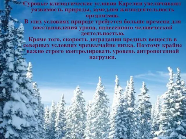 Суровые климатические условия Карелии увеличивают уязвимость природы, замедляя жизнедеятельность организмов. В этих