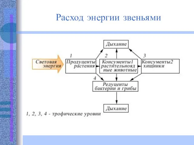 Расход энергии звеньями