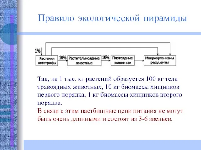 Так, на 1 тыс. кг растений образуется 100 кг тела травоядных животных,