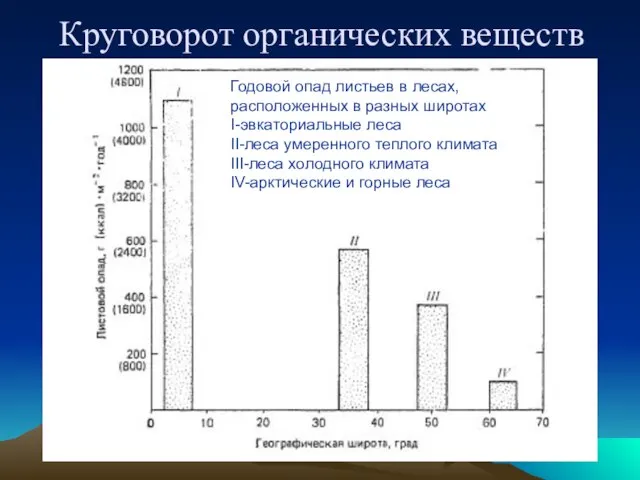 Круговорот органических веществ Годовой опад листьев в лесах, расположенных в разных широтах