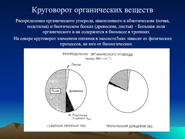 Круговорот органических веществ Распределение органического углерода, накопленного в абиотическим (почва, подстилка) и