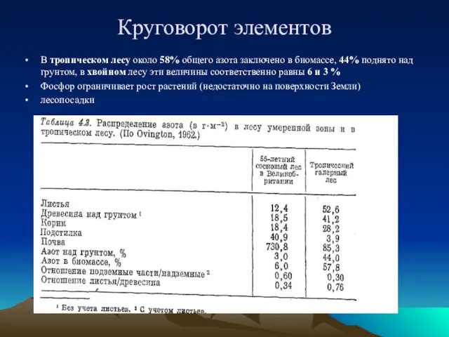 Круговорот элементов В тропическом лесу около 58% общего азота заключено в биомассе,