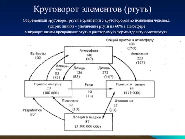 Круговорот элементов (ртуть) Современный круговорот ртути в сравнении с круговоротом до появления