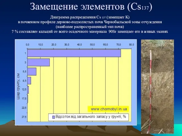 Диаграмма распределения Cs 137 (замещает K) в почвенном профиле дерново-подзолистых почв Чернобыльской
