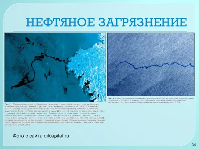 НЕФТЯНОЕ ЗАГРЯЗНЕНИЕ Фото с сайта oilcapital.ru