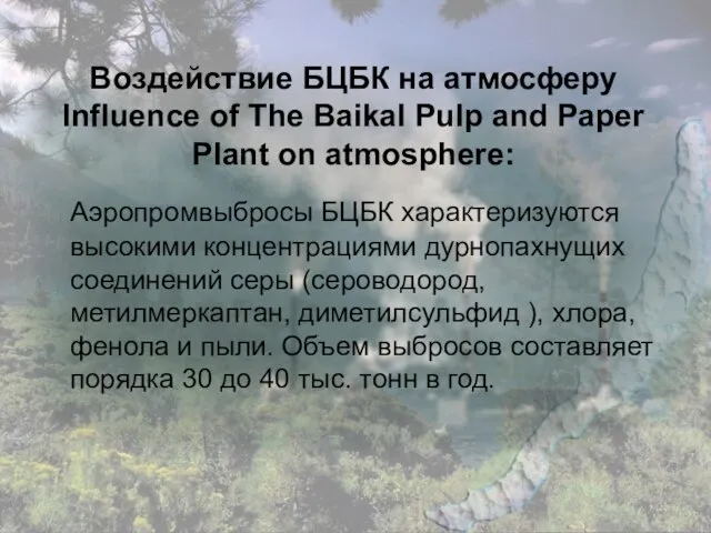 Воздействие БЦБК на атмосферу Influence of The Baikal Pulp and Paper Plant