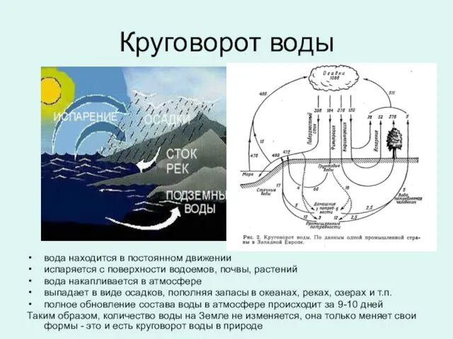 Круговорот воды вода находится в постоянном движении испаряется с поверхности водоемов, почвы,