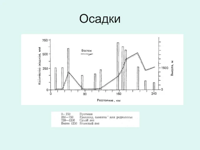 Осадки