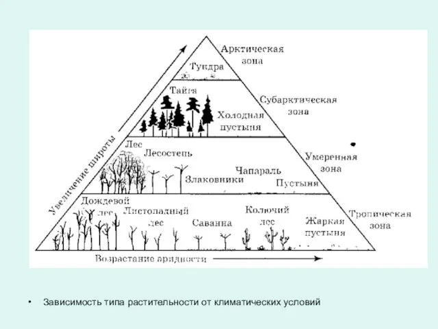 Зависимость типа растительности от климатических условий