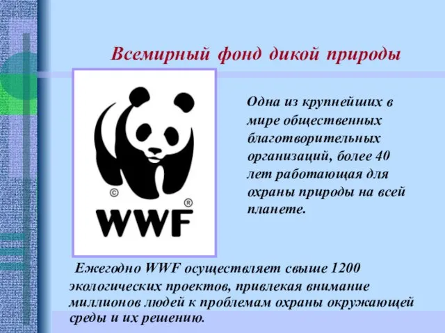 Ежегодно WWF осуществляет свыше 1200 экологических проектов, привлекая внимание миллионов людей к