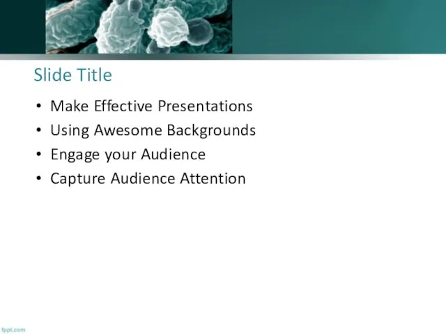 Slide Title Make Effective Presentations Using Awesome Backgrounds Engage your Audience Capture Audience Attention