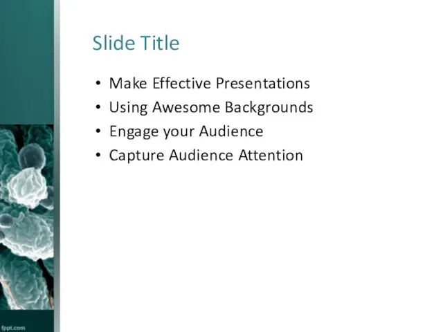 Slide Title Make Effective Presentations Using Awesome Backgrounds Engage your Audience Capture Audience Attention