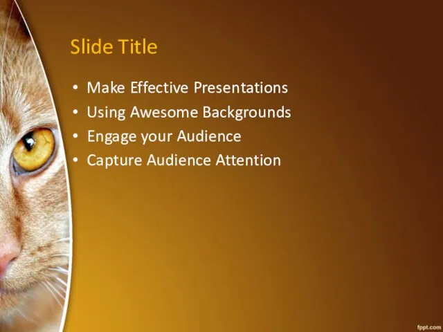 Slide Title Make Effective Presentations Using Awesome Backgrounds Engage your Audience Capture Audience Attention