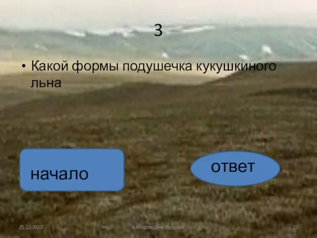 3 Какой формы подушечка кукушкиного льна автор:вадим глушков ответ начало