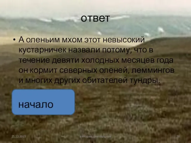 ответ А оленьим мхом этот невысокий кустарничек назвали потому, что в течение