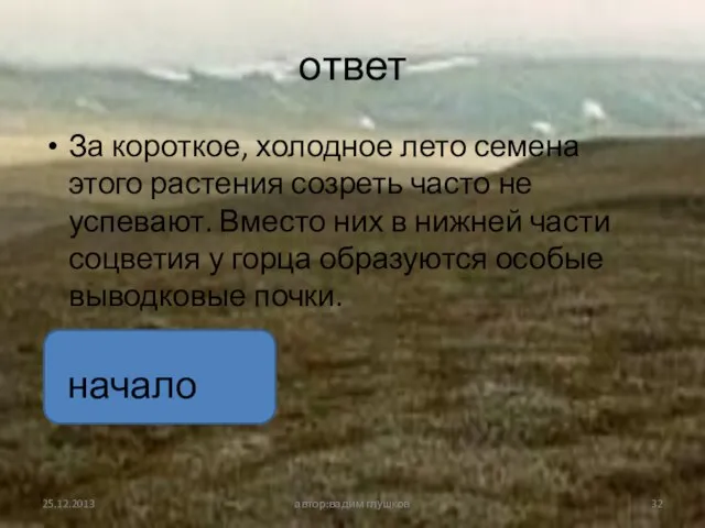 ответ За короткое, холодное лето семена этого растения созреть часто не успевают.