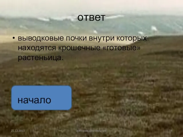 ответ выводковые почки внутри которых находятся крошечные «готовые» растеньица. автор:вадим глушков начало