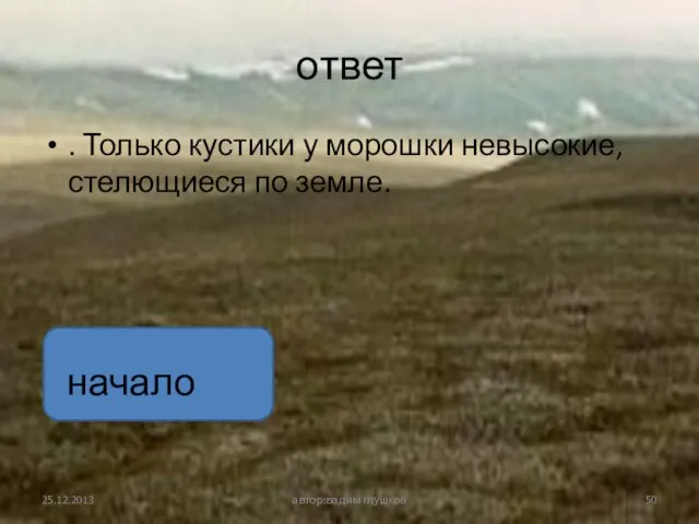 ответ . Только кустики у морошки невысокие, стелющиеся по земле. автор:вадим глушков начало