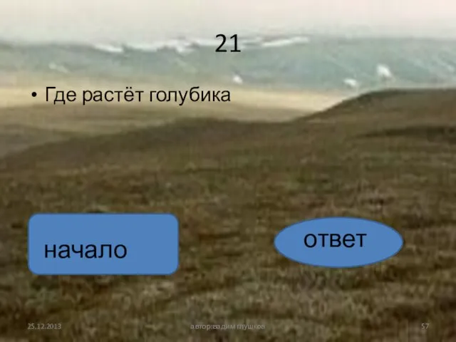 21 Где растёт голубика автор:вадим глушков ответ начало