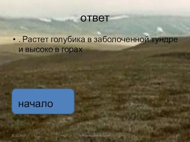 ответ . Растет голубика в заболоченной тундре и высоко в горах автор:вадим глушков начало