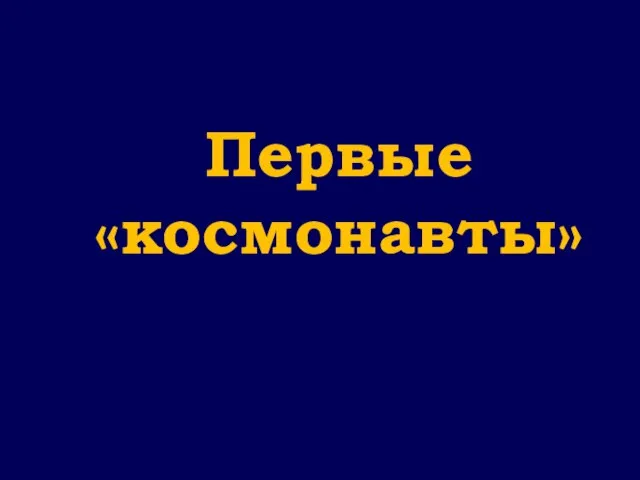 Первые «космонавты»