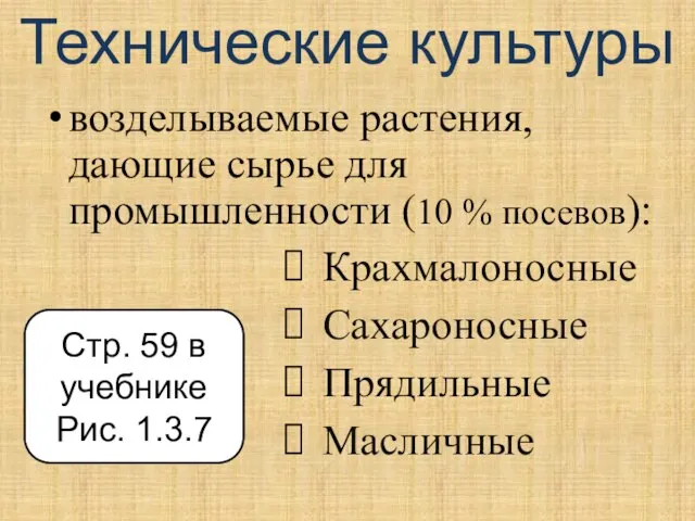 Технические культуры возделываемые растения, дающие сырье для промышленности (10 % посевов): Крахмалоносные