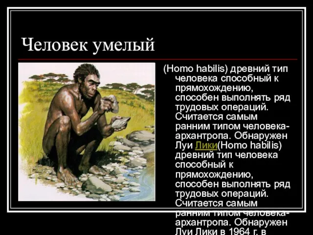 Человек умелый (Homo habilis) древний тип человека способный к прямохождению, способен выполнять