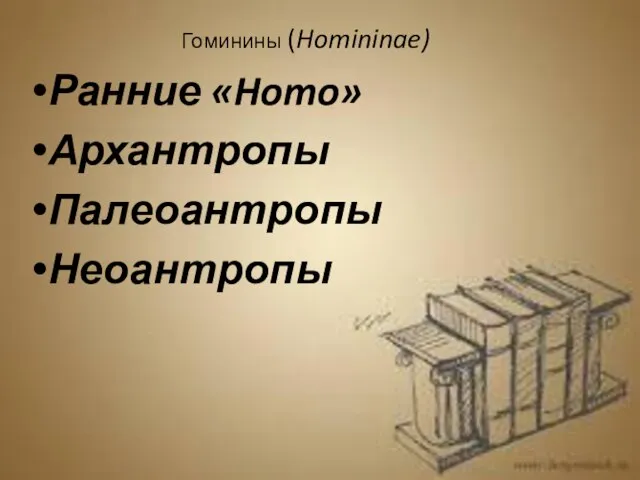 Гоминины (Homininae) Ранние «Homo» Архантропы Палеоантропы Неоантропы
