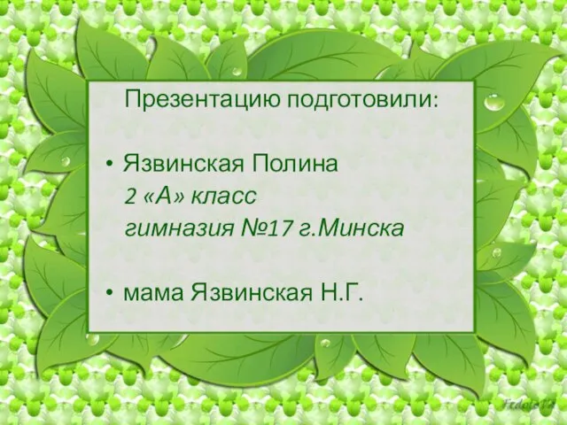 Презентацию подготовили: Язвинская Полина 2 «А» класс гимназия №17 г.Минска мама Язвинская Н.Г.